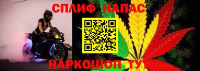 гашик Ипатово