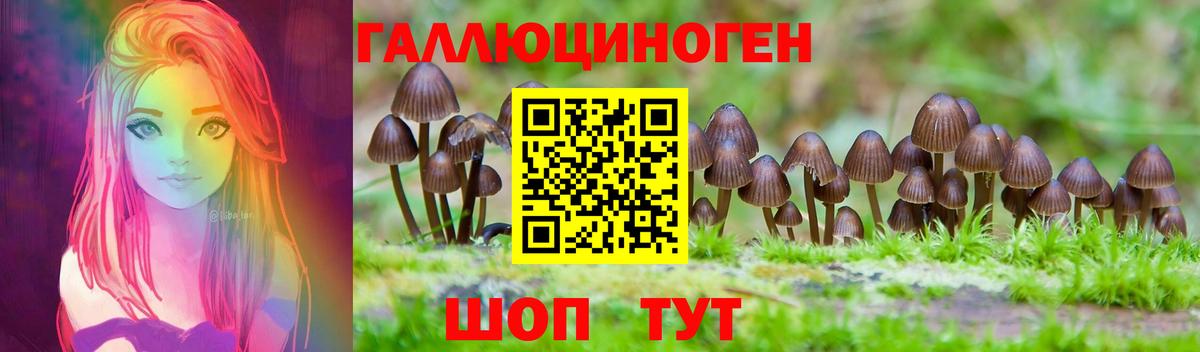 Псилоцибиновые грибы Cubensis  Вход с VPN  Пятигорск  Псилоцибиновые грибы Magic Shrooms 