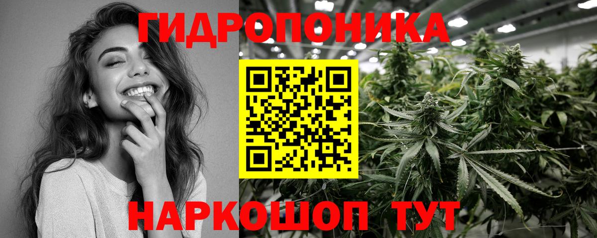 Конопля семена  Канабис семена  Вход с VPN  Шишки марихуана планчик  Пятигорск 